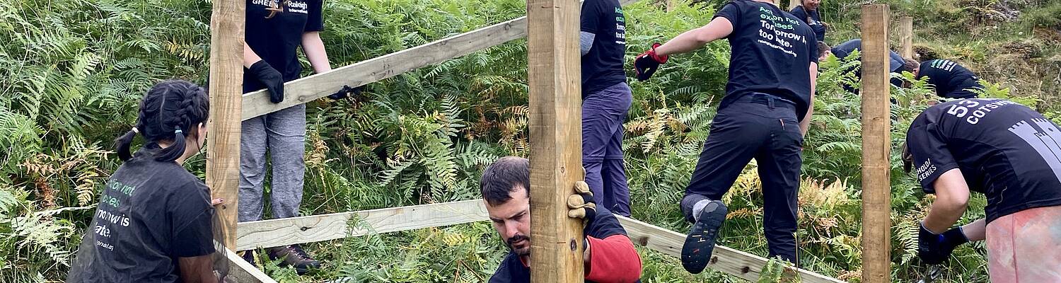 Volunteer in the UK and Help Fight the Climate Emergency
