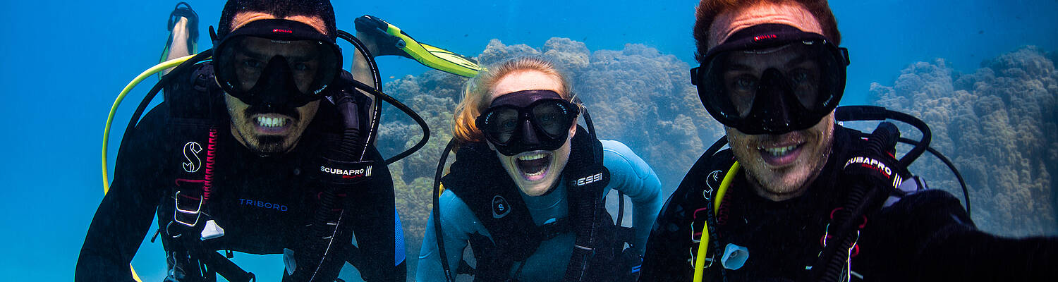 Study Abroad: Reef, Rainforest, and Real-World Learning