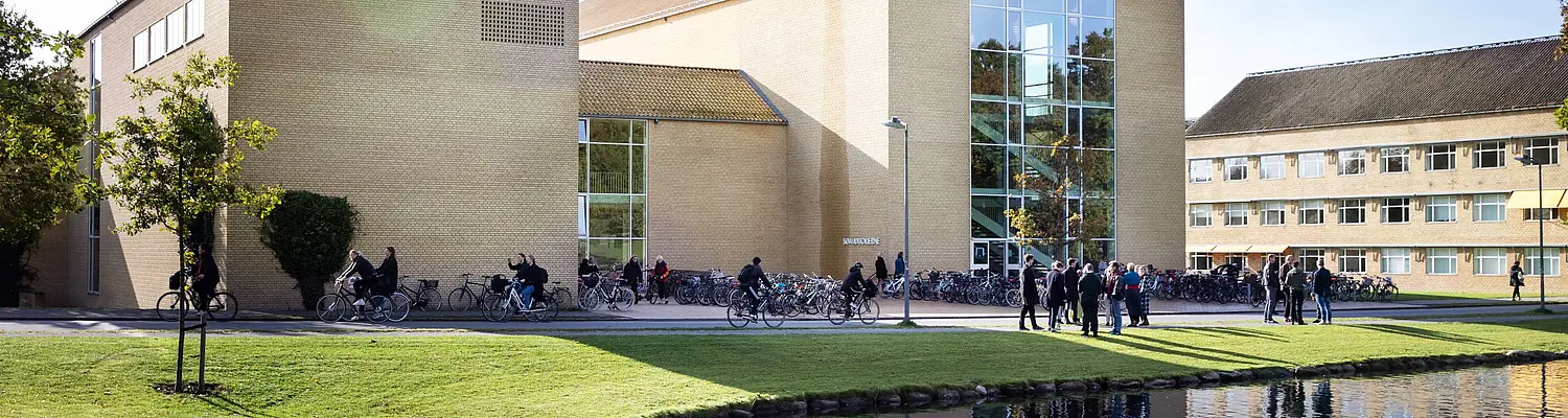 Study Abroad at Aarhus University in Denmark