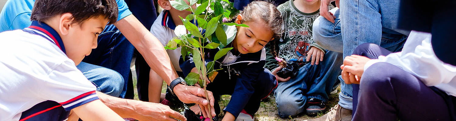 Environmental Education Internship
