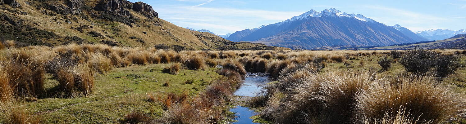 Study Abroad in Christchurch, New Zealand
