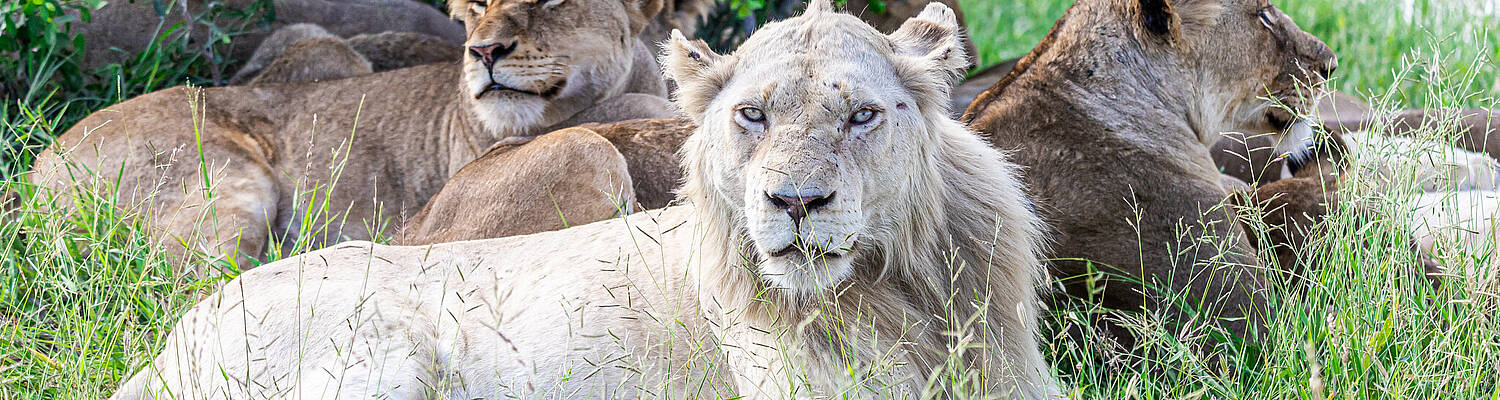Wildlife Conservation Program
