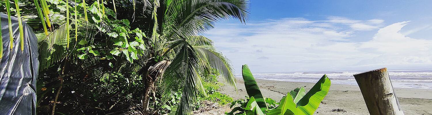 Conservation Pacuare
