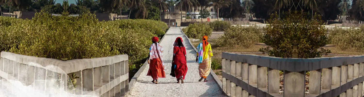 Senegal 6-Week Semester: Youth Leadership, Arts, & Culture