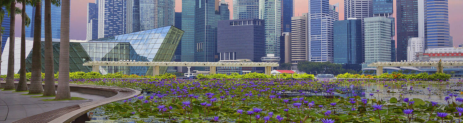 CIEE High School Summer Abroad in Singapore
