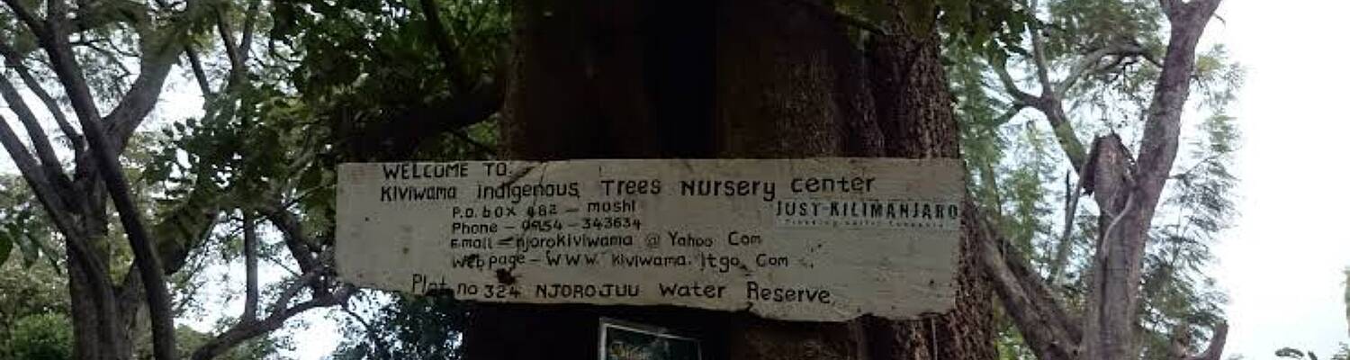 Greenfy Kilimanjaro Initiative
