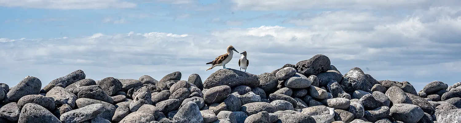 Galapagos: Preserving Nature's Wonders Program for Teens