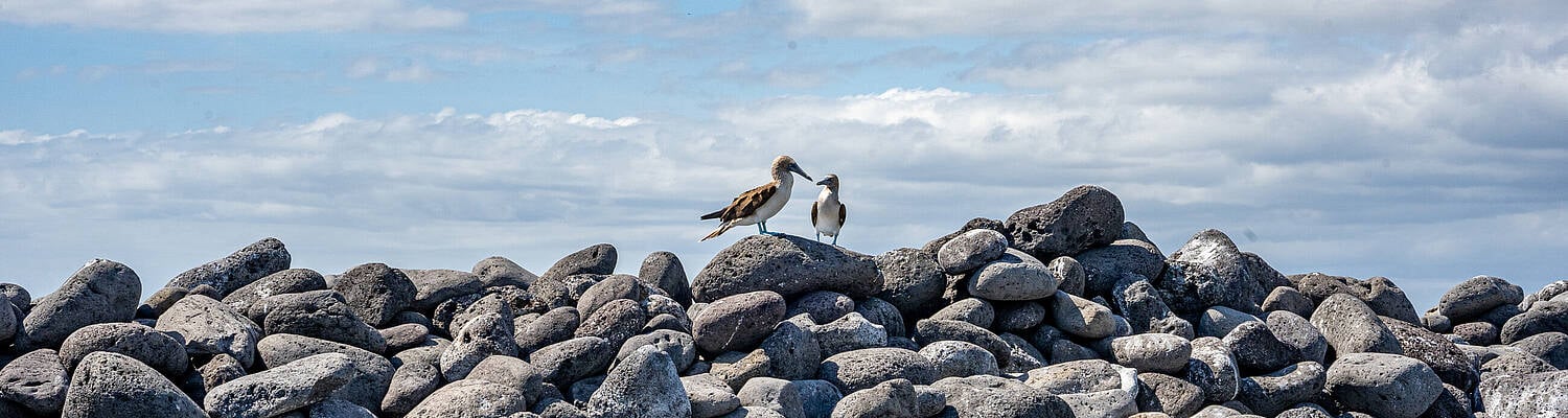 Galapagos: Preserving Nature's Wonders Program for Teens
