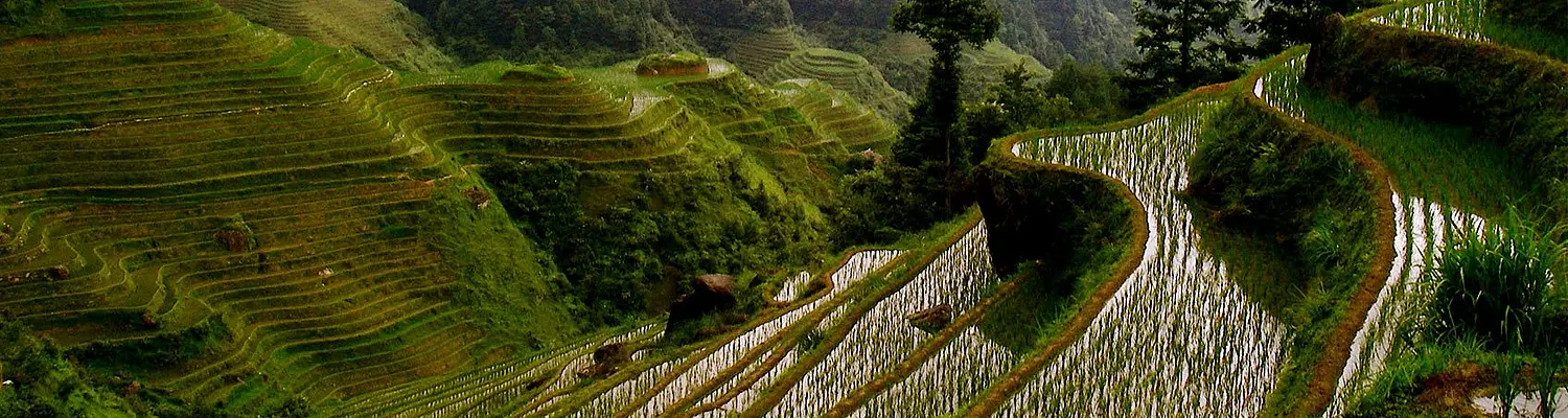 China Semester: Mandarin Language Intensive