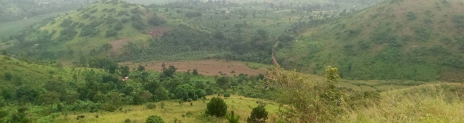 50,000 Tree Planting Mission
