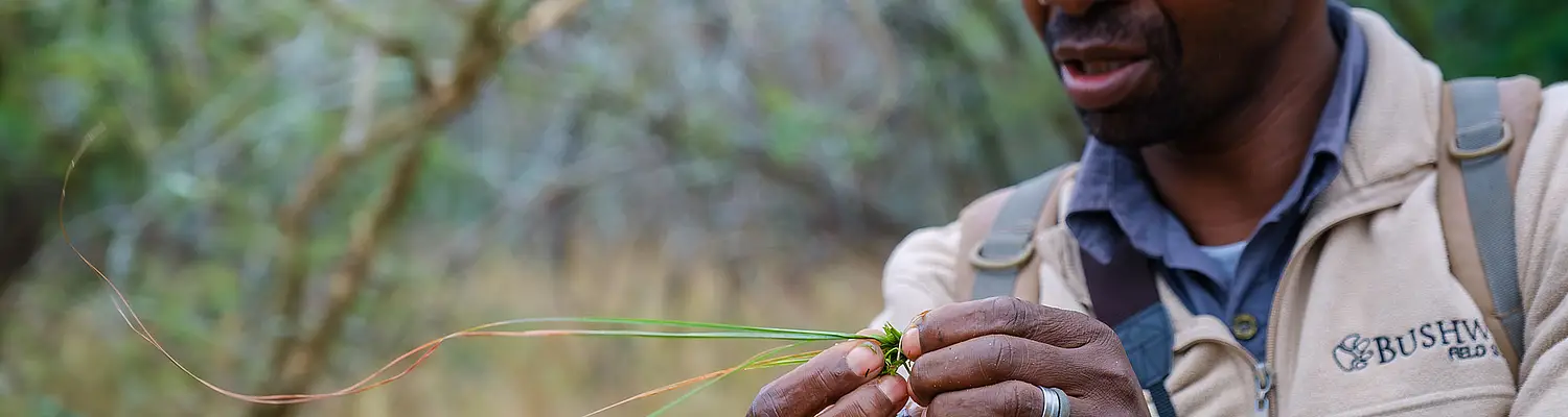 Introduction to Field Guiding Online Course