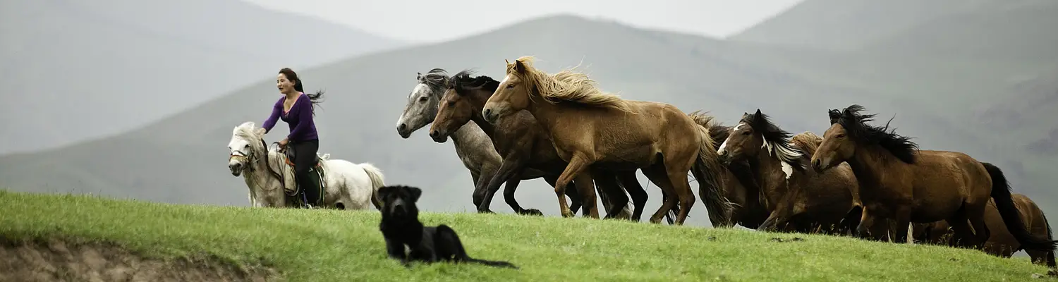 Mongolia: Off the Map with Rustic Pathways