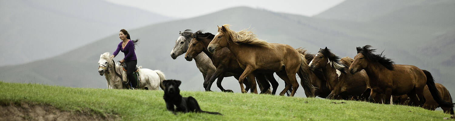 Mongolia: Off the Map with Rustic Pathways
