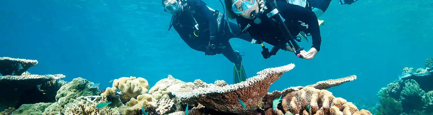 Volunteer in Environmental Conservation with Love Volunteers