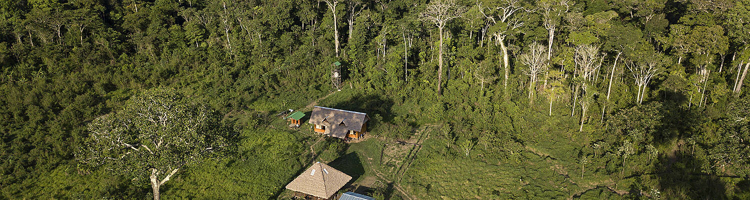 Internship in the Amazon: Biological Research &amp; Conservation
