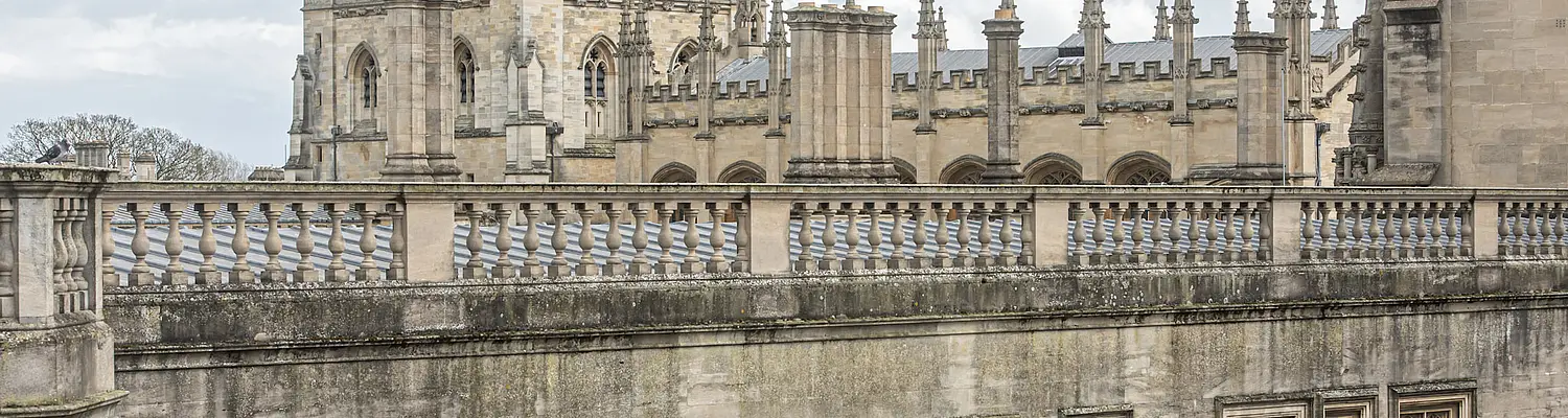 Design Your Own Gap Year Programmes in Oxford | Greene's College Oxford