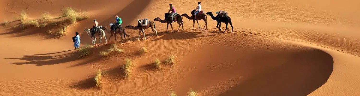 Volunteer in Morocco with ELI Abroad