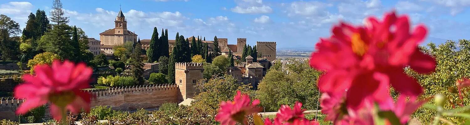 Spain Summer: Combatting Climate Change
