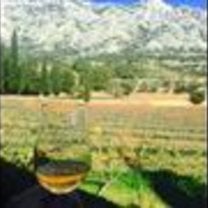 A glass of wine overlooking the mountains