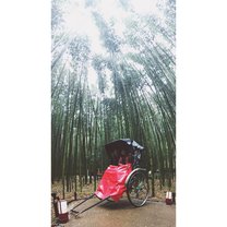 Visiting a bamboo forest during IES Nagoya trip