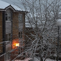 Dorms