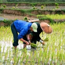 Thailand Summer: Sustainability and Spirituality in the Land of Smiles