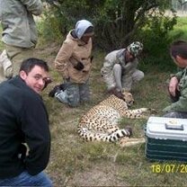Volunteering with wildlife