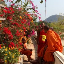 laos monks english teaching
