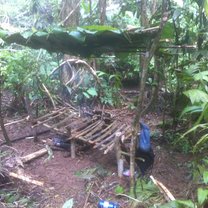 My shelter
