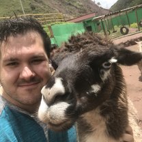 Llama 