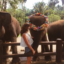 Elephant park 