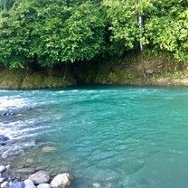 Swim