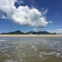 Ilha do Cardoso