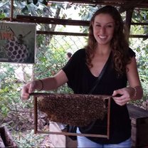 My internship in Vietnam with SE Vietnam