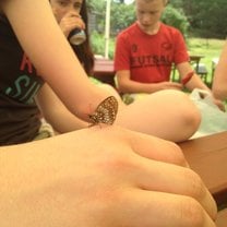 Butterfly, Debrzyno Summer Camp