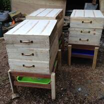 worm compost system