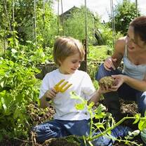 Au Pair in New Zealand