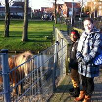 students smiling with a miniature brown horse
