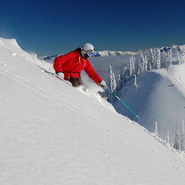 Skier in Fernie
