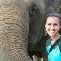 Elephant conservation service learning Thailand Summer Program with Pacific Discovery