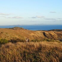 Sunshine Coast Australia Summer Program with Pacific Discovery