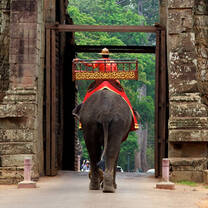 Volunteer in Cambodia - Camp Cambodia