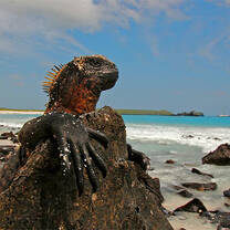 South America Semester gap year program with Pacific Discovery