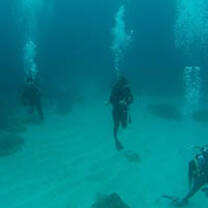 PADI-Open-Water-Skills-Blue-Ocean-Dive-Resort