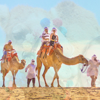 Camel rides on beach