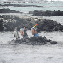 snorkeling and penguins