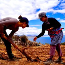 South America Volunteer Project