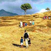 Walk in Fiji