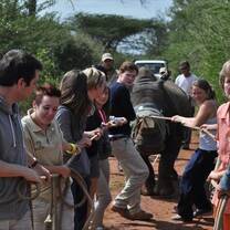 South Africa - Rhino Conservation