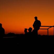 South Africa - on Safari